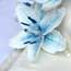 Fondant Blue lily flowers